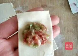 Yuanbao Wonton Wrapping Method Illustration 11