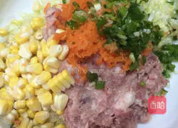 Pork Illustration of how to make carrot dumplings 2