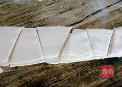 Illustration of how to make pork and green onion wontons 14