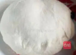 Illustration of how to make green onion cake 1