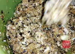 Illustration of how to make delicious dumplings 5