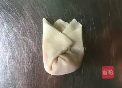 Illustration of how to wrap wontons 14