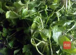 Illustration of how to make shepherd's purse wontons 1