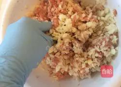 Illustration of how to make wontons 5