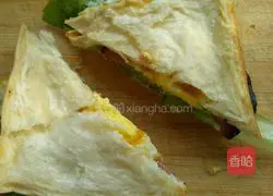 Sandwich Recipe Illustration 5