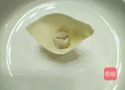 Illustration of how to make wontons stuffed with mushrooms 15