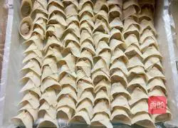 Illustration of homemade pork wontons 7