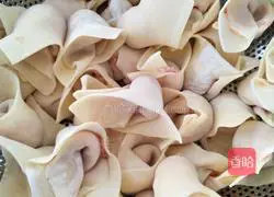 Illustration of how to make wontons 2