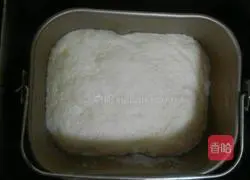 Pizza dough recipe 4