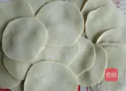 Illustration of how to make pork and parsley stuffed dumplings 10