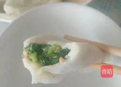 Vegetarian and Sanxian filling dumplings Illustration of how to do it 11