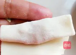 Chicken and Carrot Wonton Recipe Illustration 7