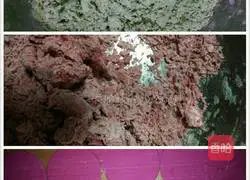 Colorful Dumplings Recipe Illustration 6