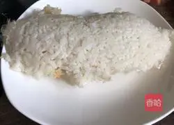 Illustration of home-style colorful fried rice 1