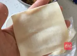 Illustration of how to make wontons 2