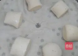 Illustration of how to make bean dregs steamed buns 12