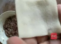 Wonton bag Illustration of the method 3