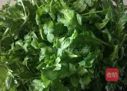 Illustration of how to make shepherd's purse wontons 1