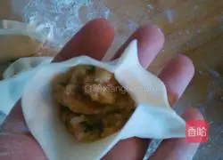 Illustration of how to wrap dumplings 5