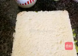 Cheese Sandwich Recipe Illustration 5