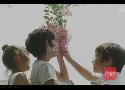 Illustration of how to make cabbage, fungus and pork stuffing buns 6