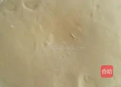 Pork Illustration of how to make cabbage buns 12