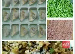 Illustration of how to make mushroom, celery and pork wontons 5