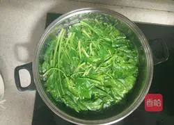 Illustration of how to make vegetarian dumplings 3