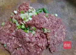 Beef and cabbage Illustration of how to make stuffed dumplings 1