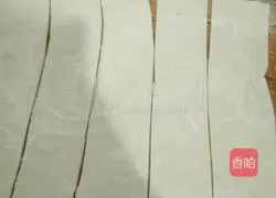 Chicken Wonton Recipe Illustration 7