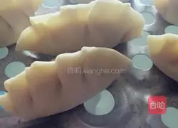 Illustration of how to make pot stickers and dumplings 4