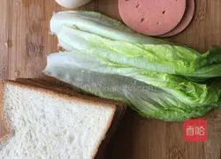 Simplified Sandwich Illustration of how to do it 1