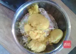 Pork and green onion dumplings.Recipe 4