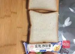 How to make homemade sandwiches Illustration of how to do it 1