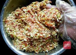 How to make cabbage (Baicai) dumplings Illustration 7