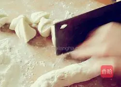 Illustration of Homemade Bean Dumplings 4