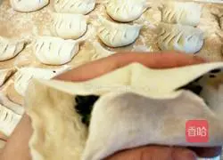 Illustration of how to make pot stickers and dumplings 5