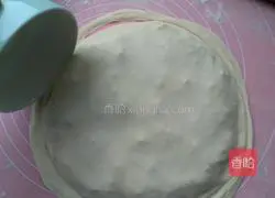 Wild garlic egg vegetable pancake recipe 11