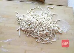Illustration of hand-rolled noodles 4