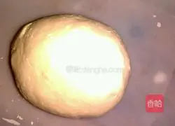 Illustration of how to make leek dumplings 2