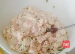 Illustration of how to make wonton and shaomai 3