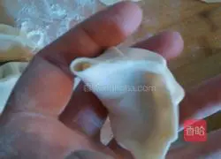 Illustration of how to wrap dumplings 8