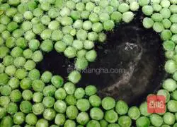 Xinjiang style pineapple Illustration of how to make egg fried rice 2