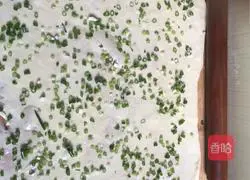 Illustration of how to make scallion pancakes 8