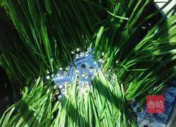 Illustration of Homemade Dumplings 2