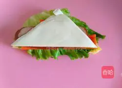 Red Sausage Cheese Sandwich Recipe Illustration 8