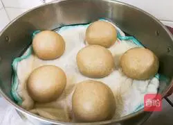 Illustration of how to make milky buckwheat steamed buns 16