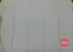 Illustration of how to make pork wontons 6