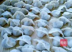 Illustration of how to make chicken and coriander dumplings 18