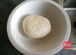 Four fresh ingredients Illustration of how to make stuffed dumplings 5